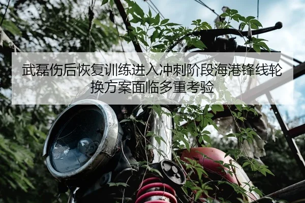武磊伤后恢复训练进入冲刺阶段海港锋线轮换方案面临多重考验