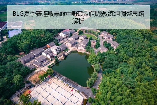 BLG夏季赛连败暴露中野联动问题教练组调整思路解析